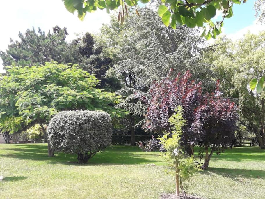 Logis De Lange Les Ecureuils *