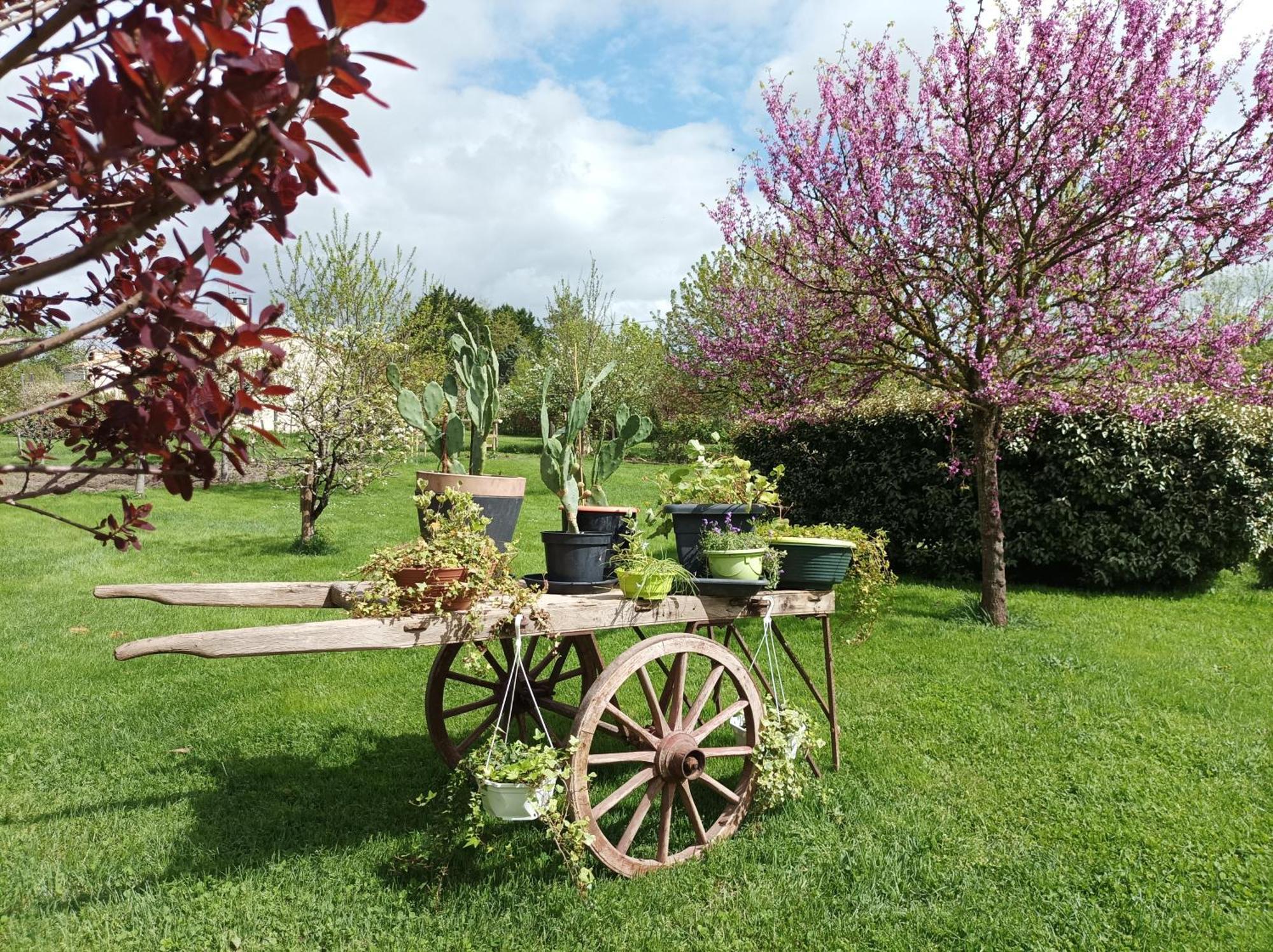 Logis De Lange Les Ecureuils Apartment Saint-Hilaire-la-Palud